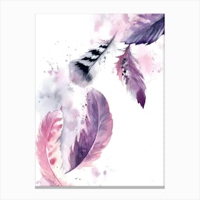 Watercolor Feathers Canvas Print