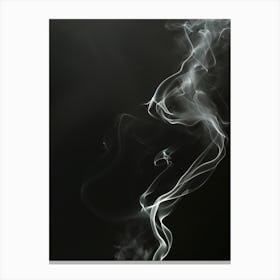 Smoke On Black Background Canvas Print