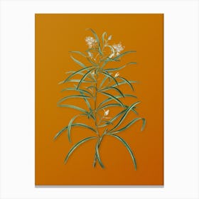 Vintage Narrow Leaved Spider Flower Botanical on Sunset Orange n.0683 Canvas Print