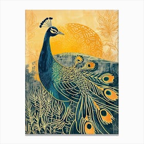 Blue Mustard Peacock In The Wild At Sunset Canvas Print