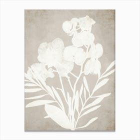 Rustic Neutral Floral Canvas Print