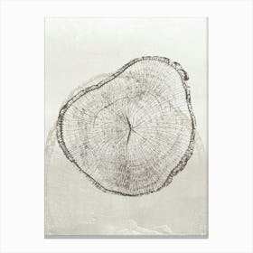 Neutral Tree Ring Stump 2 Canvas Print