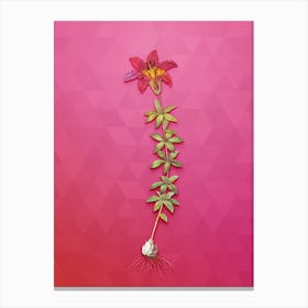 Vintage Wood Lily Botanical Art on Beetroot Purple n.0752 Canvas Print