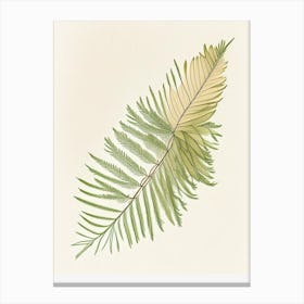 Cypress Leaf Illustration 2 Canvas Print