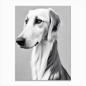 Saluki B&W Pencil dog Canvas Print