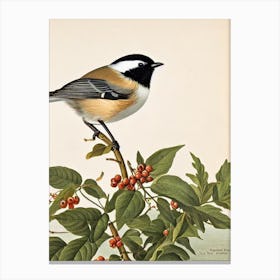 Carolina Chickadee 2 James Audubon Vintage Style Bird Canvas Print