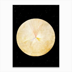 Hilma Af Klint Moon Canvas Print