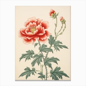 Botan Peony 4 Vintage Japanese Botanical Canvas Print