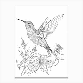 Allen S Hummingbird William Morris Line Drawing 2 Canvas Print