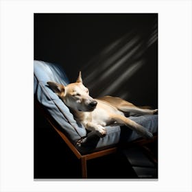 Dog In The Sun 1 Canvas Print