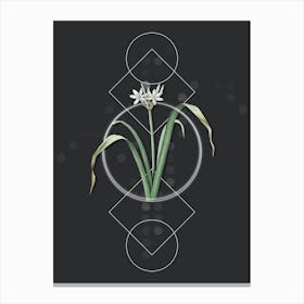 Vintage Small Flowered Pancratium Botanical with Geometric Line Motif and Dot Pattern Canvas Print