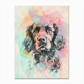 Colourful American Water Spaniel Dog Line Illustration 2 Canvas Print