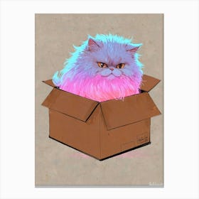 Cat In A Box 10 Canvas Print