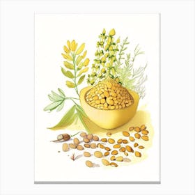Fenugreek Seed Spices And Herbs Pencil Illustration 3 Canvas Print