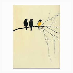 Three Birds On A Branch 3 Canvas Print