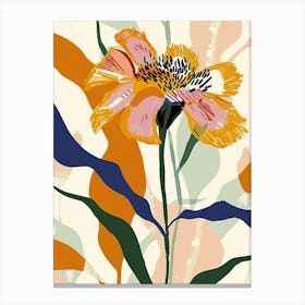 Colourful Flower Illustration Calendula 4 Canvas Print
