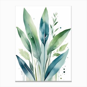 Watercolor Of Green Leaves Canvas Print