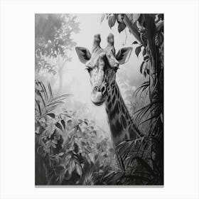 Pencil Portrait Of Giraffe In The Leaves 1 Canvas Print