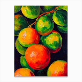 Pummelo Fruit Vibrant Matisse Inspired Painting Fruit Canvas Print