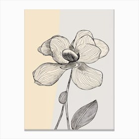 Line Art Orchids Flowers Illustration Neutral 18 Canvas Print