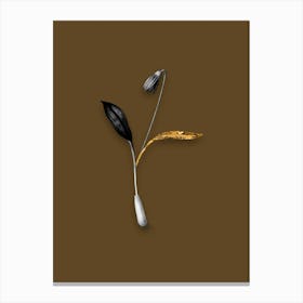 Vintage Erythronium Black and White Gold Leaf Floral Art on Coffee Brown n.0143 Canvas Print