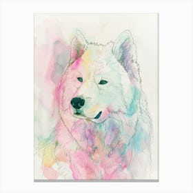 Samoyed Dog Pastel Line Watercolour Illustration  1 Canvas Print