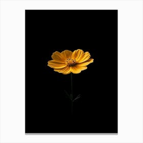 Single Yellow Flower 10 Canvas Print