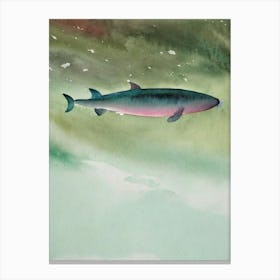 Sperm Whale Storybook Watercolour Canvas Print