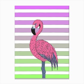 Flamingo Bird Leinwandbild