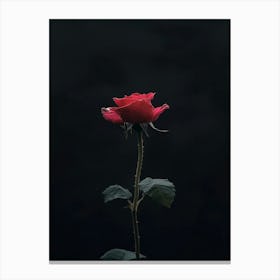 Single Red Rose 16 Canvas Print