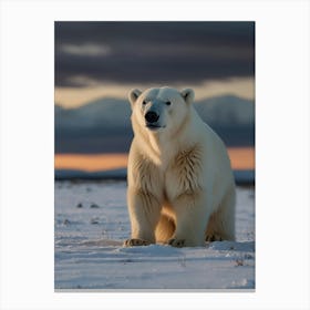 Polar Bear 1 Canvas Print