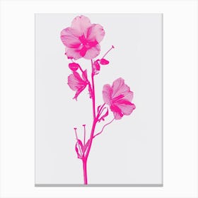 Hot Pink Delphinium 1 Canvas Print