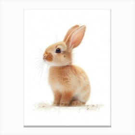 Satin Rabbit Nursery Illustration 4 Canvas Print