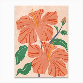 Hibiscus Flowers Canvas Print