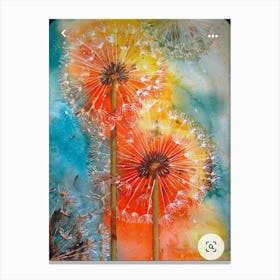 Dandelions Canvas Print