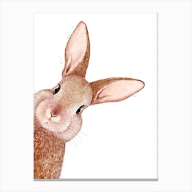 Peeping Rabbit Canvas Print