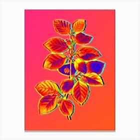 Neon European Beech Botanical in Hot Pink and Electric Blue n.0178 Canvas Print