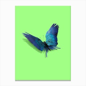 Parrot Butterfly Canvas Print