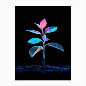 Plant In The Dark 10 Canvas Print