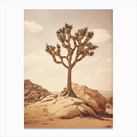  Photograph Of A Joshua Tree In Rocky Landscape 2 Canvas Print