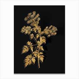 Vintage Hemlock Flowers Botanical in Gold on Black n.0524 Canvas Print