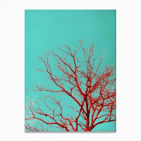 Red Tree Against Blue Sky 4 Canvas Print