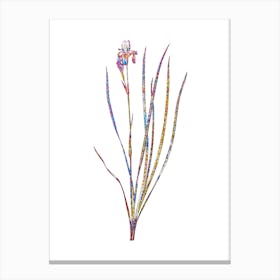 Stained Glass Siberian Iris Mosaic Botanical Illustration on White n.0349 Canvas Print