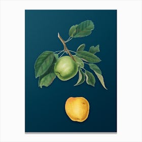 Vintage Apple Botanical Art on Teal Blue n.0807 Canvas Print