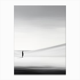 Sand Dunes Canvas Print