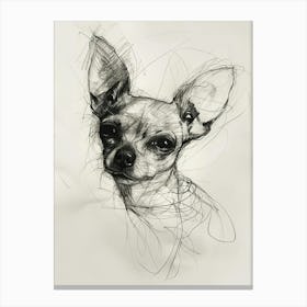 Chihuahua Dog Charcoal Line Canvas Print