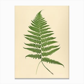 Vintage Illustration Harts Tongue Fern 3 Canvas Print