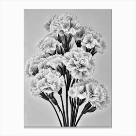 Carnations B&W Pencil 8 Flower Canvas Print