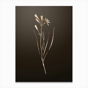 Gold Botanical Amaryllis Montana on Chocolate Brown n.0897 Canvas Print