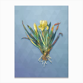 Vintage Crimean Iris Botanical Art on Summer Song Blue n.0762 Canvas Print